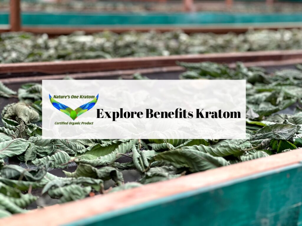 Explore Benefits Kratom