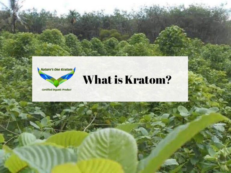 What is Kratom