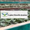 Benefits Kratom