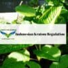 Indonesian Kratom Regulation