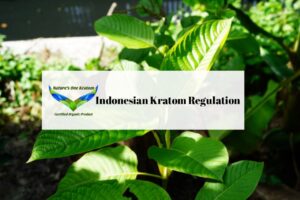 Indonesian Kratom Regulation