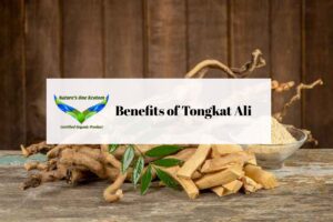 Benefits Of Tongkat Ali