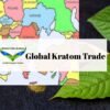 Global Kratom Trade
