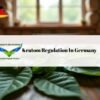 Kratom Regulation in Germany