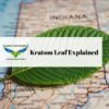 Kratom Leaf