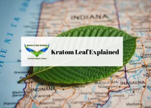 Kratom Leaf