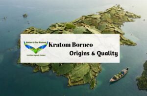 Kratom Borneo