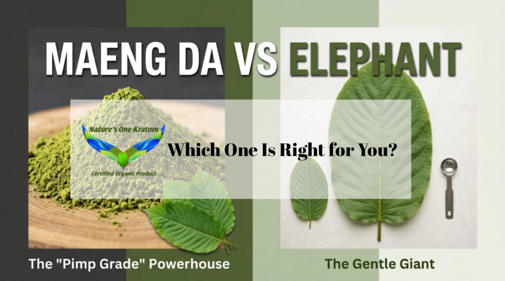Maeng Da vs Elephant Kratom