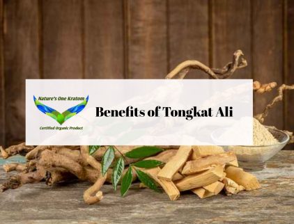 Benefits Of Tongkat Ali