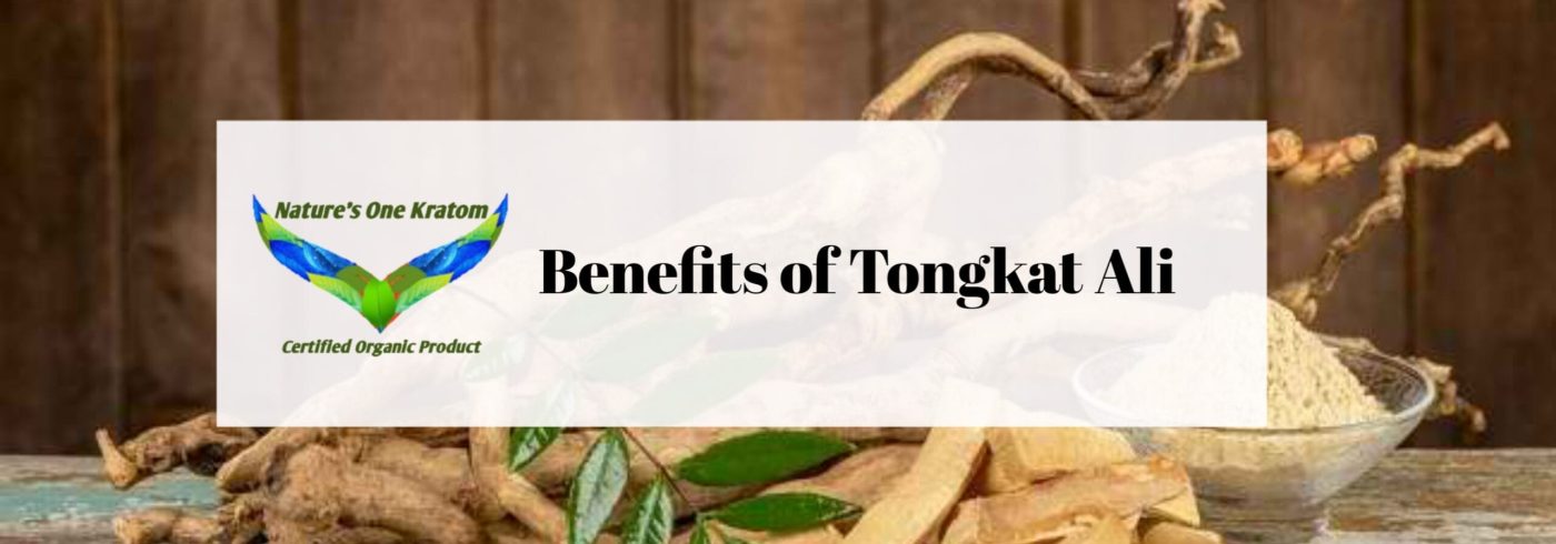 Benefits Of Tongkat Ali