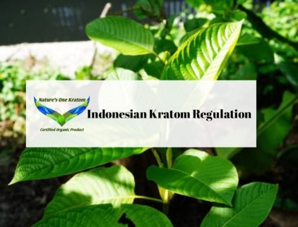 Indonesian Kratom Regulation