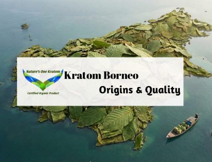 Kratom Borneo