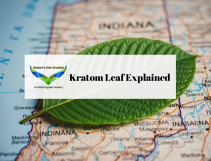 Kratom Leaf