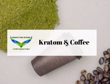 Kratom and Coffee Family