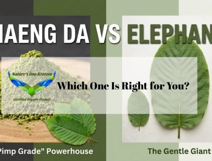 Maeng Da vs Elephant Kratom