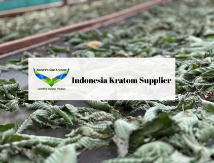 Indonesia Kratom Supplier