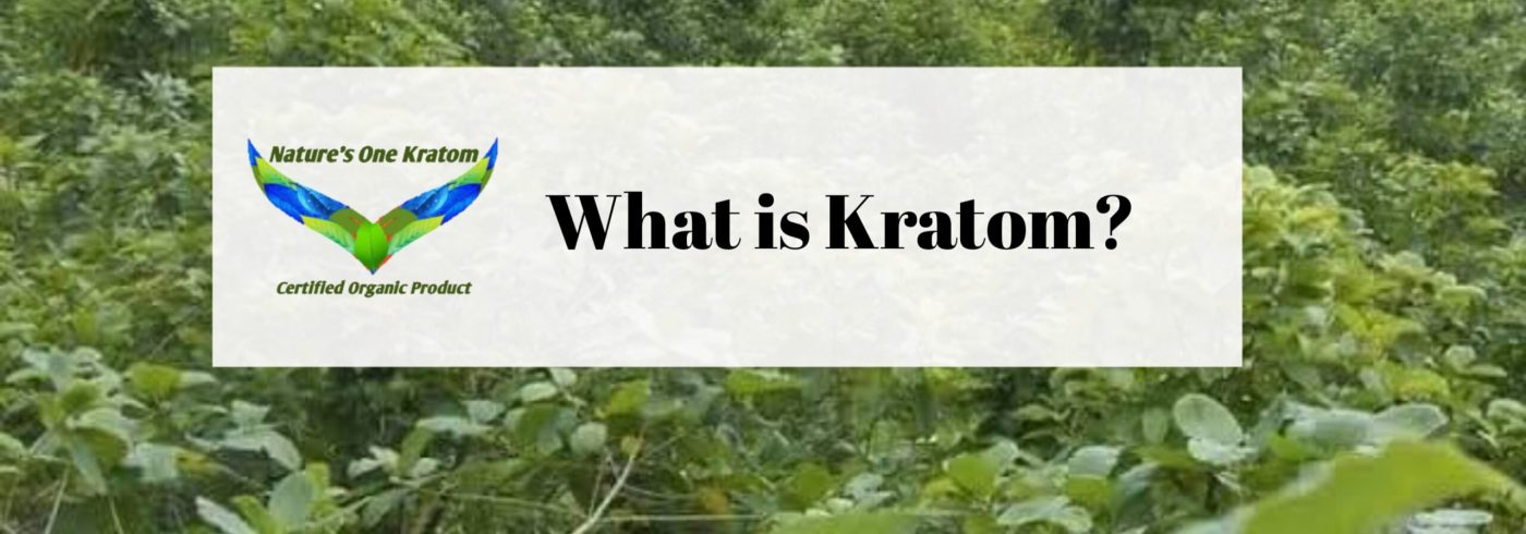 What is Kratom